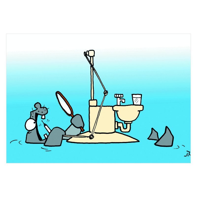 Postcard hippos