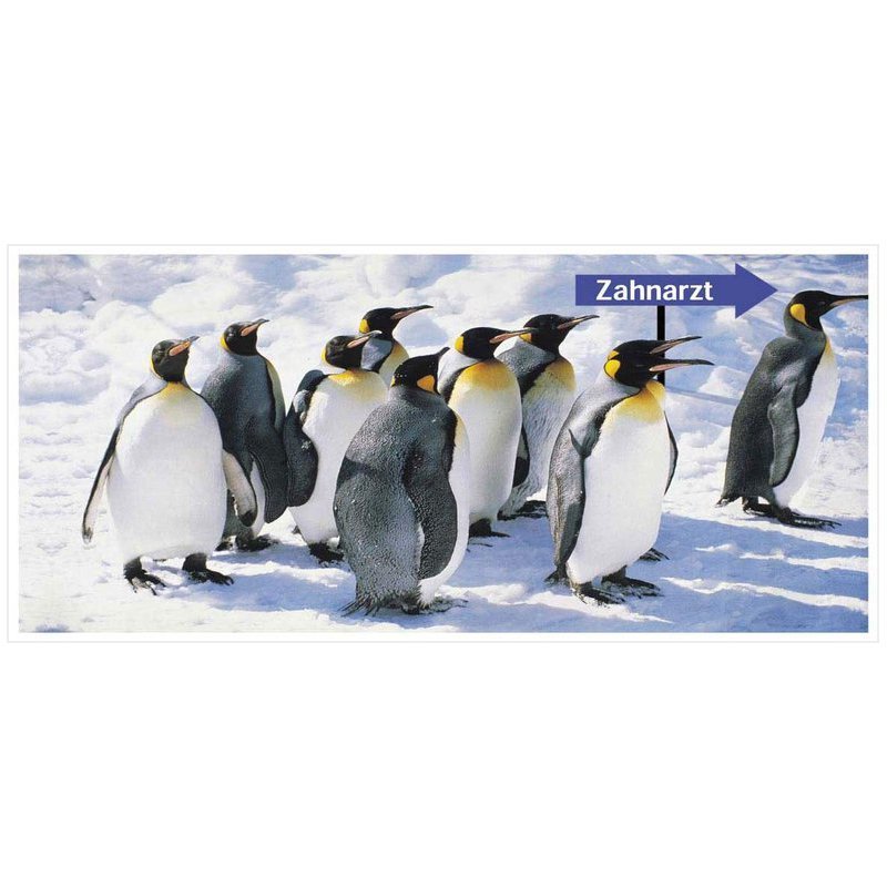 Recall Karten Pinguine (Größe 10cm x 21cm), 150 Stück
